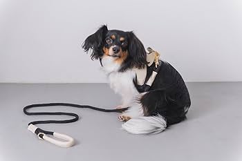 milla noue ペットハーネス　ペットリード Amazon | 【正規品】Milla Noue ミラヌー レザー 本革 牛革 S M