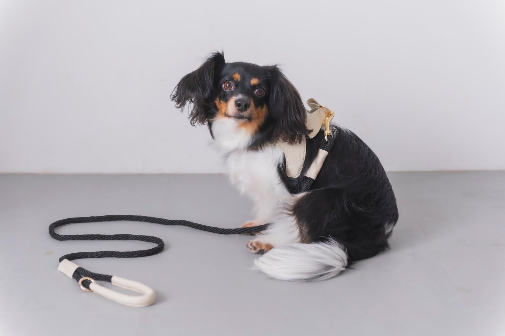 Amazon | 【正規品】Milla Noue ミラヌー レザー 本革 牛革 S M 小型犬