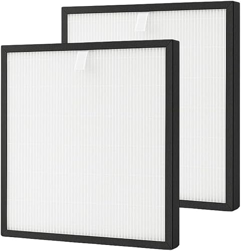 Nispira Filtro HEPA de repuesto para purificador de aire ultra silencioso Rabbit MinusA2 SPA-780A, SPA-700A, AP-1004, 2 paquetes