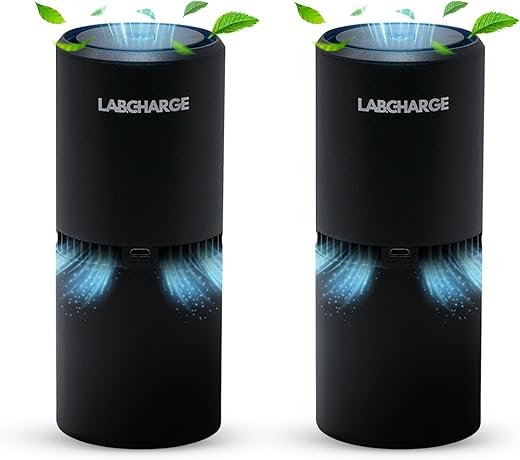 HEPA Filter Air Ionizer