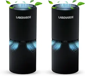 LabCharge Small Ionic Air Purifier for Home & Bedroom – Silent HEPA Filter – Covers 250 Sq Ft - Free Cleaner for Pets, Hair, Smoke, Dust, Odors & Dander – Compact & Black Design - Pack of 2
