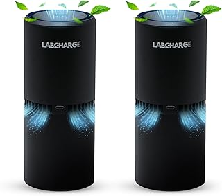 LabCharge Small Ionic Air Purifier for Home & Bedroom – Silent HEPA Filter – Covers 250 Sq Ft - Free Cleaner – Compact & Black Design - Pack of 2