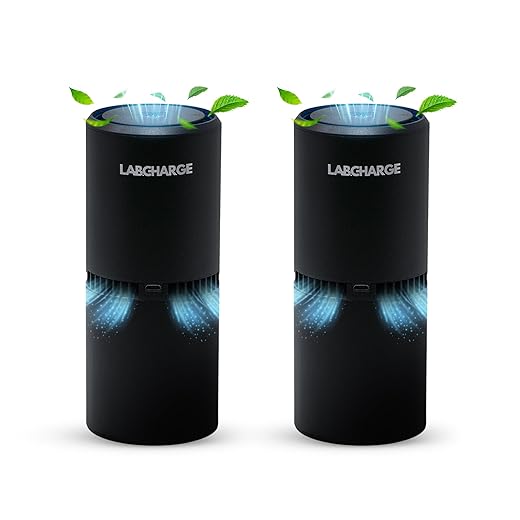 LabCharge Small Ionic Air Purifier for Home & Bedroom – Silent HEPA Filter – Covers 250 Sq Ft - Free Cleaner – Compact & Black Design - Pack of 2