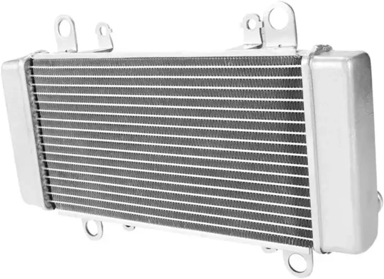 Compatible With Kawasaki Ninja 300 ABS 2013-2017 Motorcycle Accessories Radiator Cooler Cooling