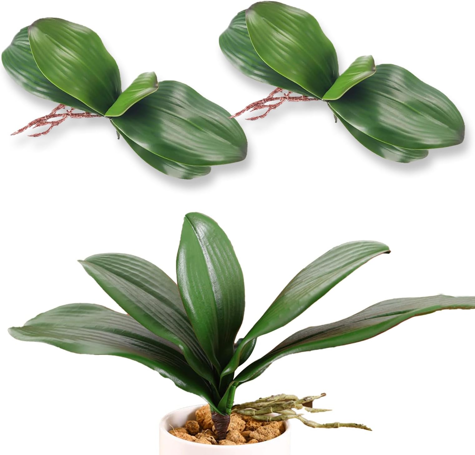 Orchid Leaves Artificial Artificial Orchid Leaves Real Touch Phalaenopsis Stems Faux Cymbidium Flower Foliage Green Artificial Orchid Bulk 2Pack Lifelike Orchid Leaf Decor Faux Orchid 8 Inches
