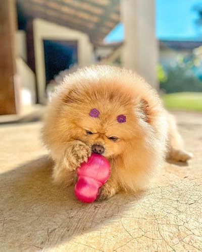 Pet Games Mordedor Recheável Super Resistente Bonequinha Lilás Tamanho P Para Cães