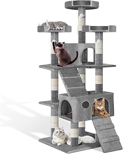 Casa de Gato, Torre Gato, Arvore de Gato, Casa para Gatos, Casa Gato, Casinha para Gatos
