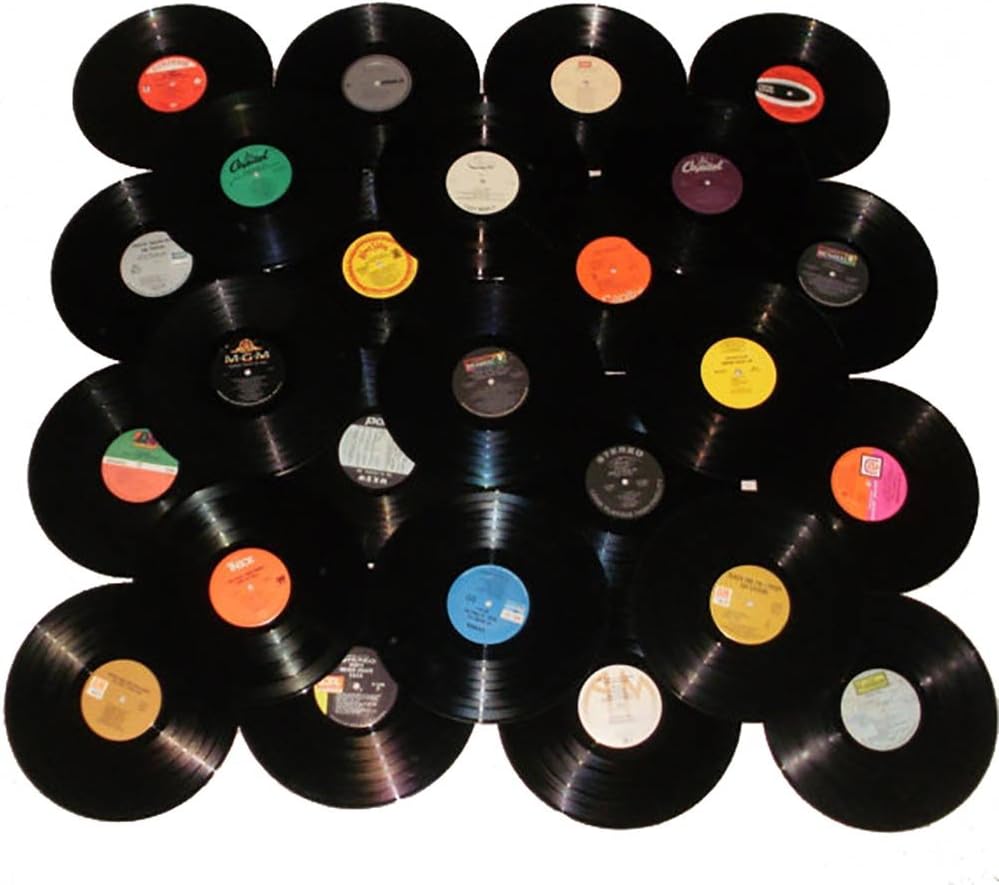 VinylShopUS - Lot of 12" Vinyl Records for Crafts & Decoration Artwork for Party Decor Artist Studio Vintage Look (Lot of 50)