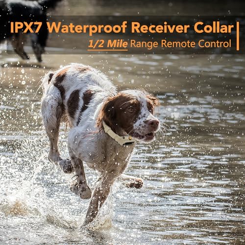 Dog Training Collar 2 Dogs with APP Control - 1/2 Mile Range E Collar for Dogs, Bluetooth-Enabled Waterproof Electric Collar for Large Dogs (15-140 lbs)