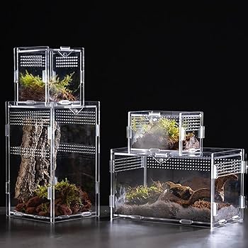 Amazon | 爬虫類 ケージ トカゲ ケージ カナヘビ飼育ケース