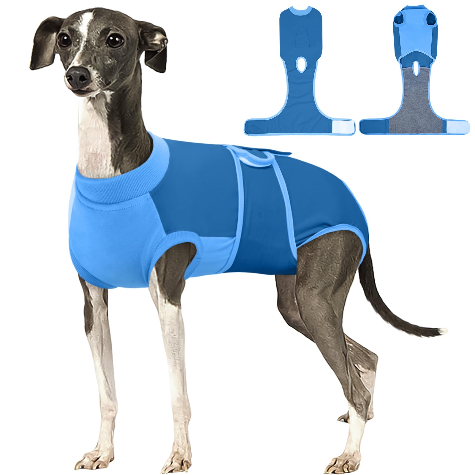 Kuoser Dog Recovery Suit, Female Male Spay Neuter Surgery Suit, Blue, L