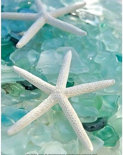 Seaglass 1(Estrella de mar) por Alan Blaustein 14x 11fotografía Póster decoración de pared Coastal Beach Seaside Océano