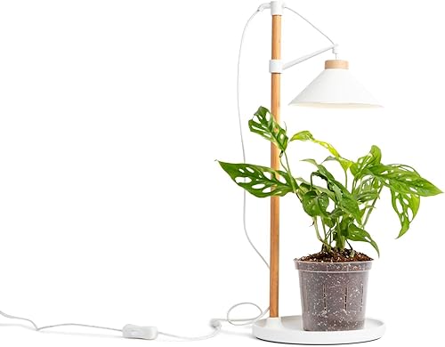 Miniatura 7 de rePotme Tierra para macetas multiusos para plantas de interior y exterior, orgánica y fabricada en los Estados Unidos, plantas de interior y mezcla