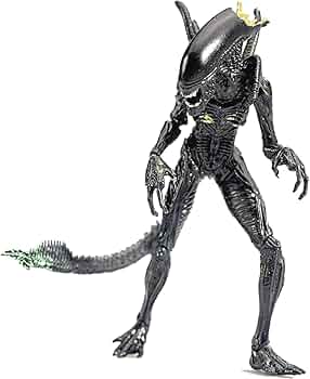 61c8Z9fV5aS._UF350,350_QL50_.jpg