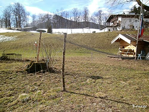 Volierennetz - Breite 6,0m x Länge 10,0m, MW 5,0cm, europ. Fertigung, gewebt, Geflügelnetz, Raubvogelschutz Cover