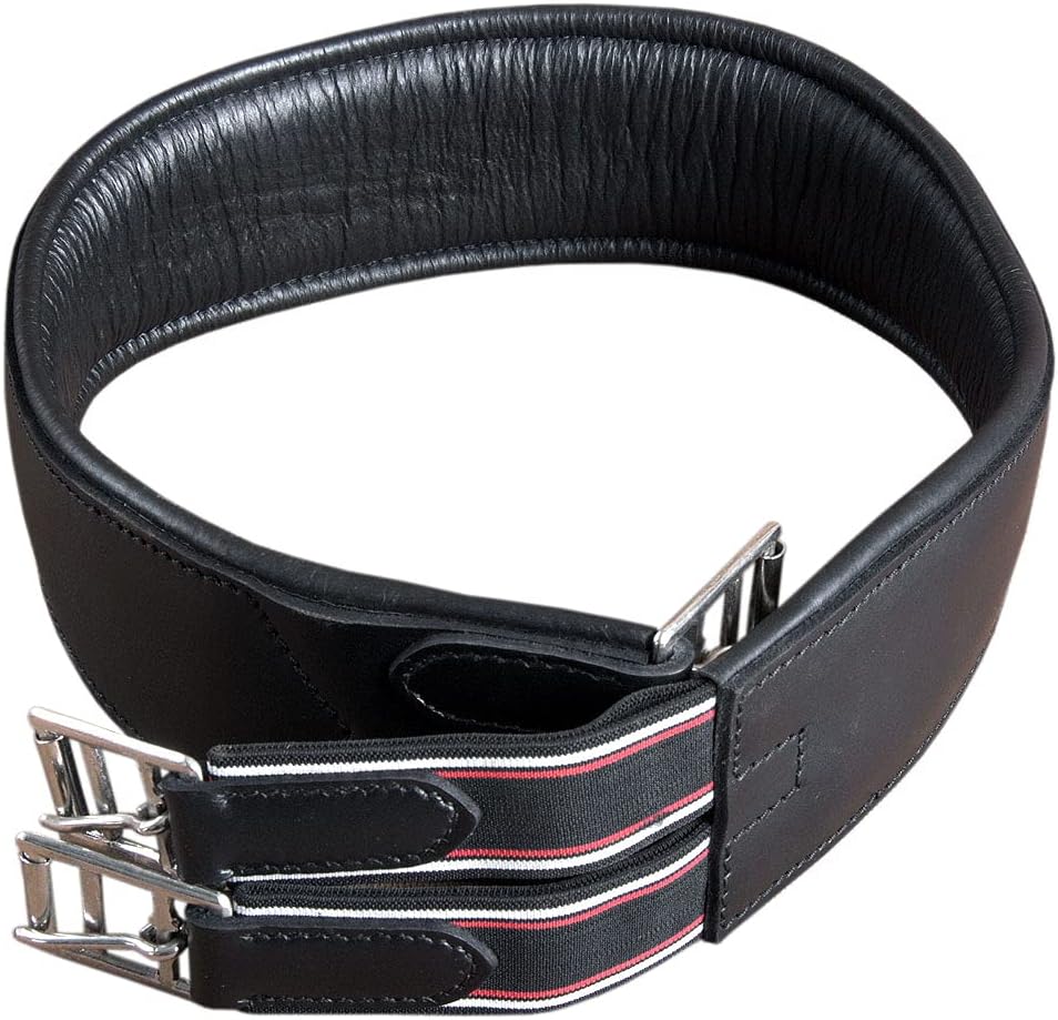 HILASON Padded Leather Horse English Saddle Girth Cinch Roller Buckles | Strap for Horses Back Western