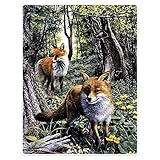 Kuscheldecke Rote Füchse Tagesdecke Bedruckt Wohndecke Waschbar Wohndecke Für Couch Bettüberwurf, Für Schlafzimmer, Wohnzimmer, Sofa, 125x150cm