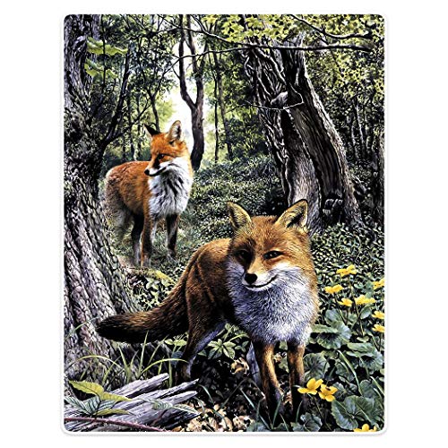 Kuscheldecke Rote Füchse Tagesdecke Bedruckt Wohndecke Waschbar Wohndecke Für Couch Bettüberwurf, Für Schlafzimmer, Wohnzimmer, Sofa, 125x150cm