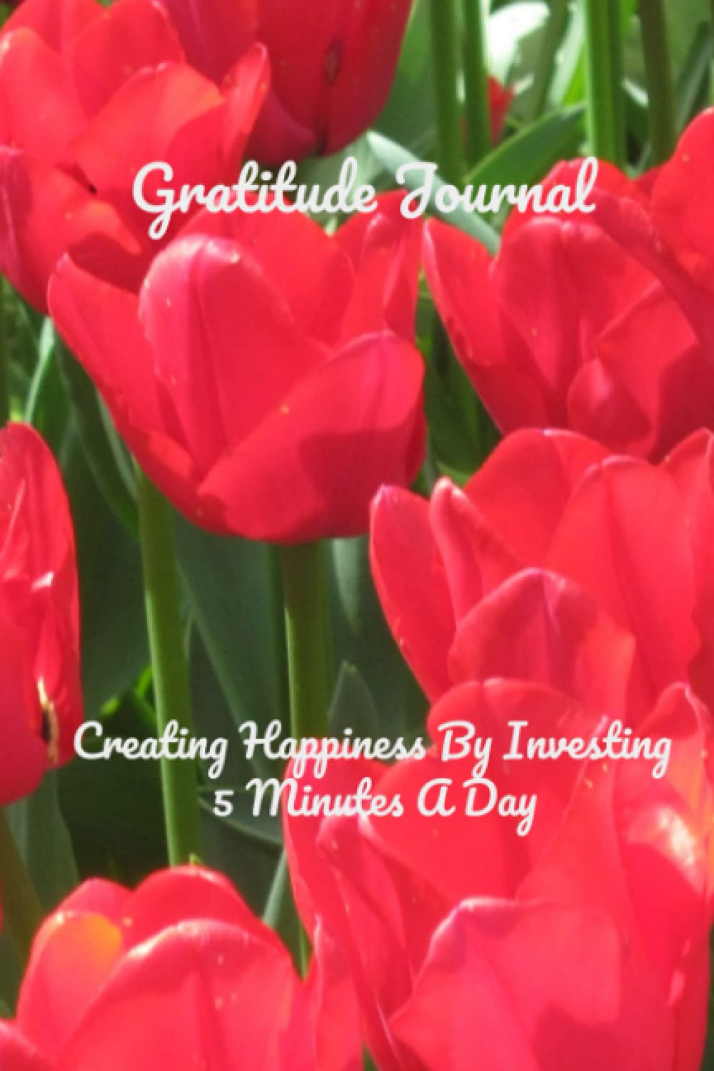 Gratitude Journal: Creating Happiness By Investing 5 Minutes A Day