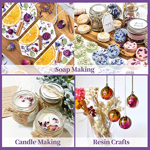 Dried Flowers - 245 g Natural Dried Flower Herbs Kit for Bath, Soap Making, Candle Making Includ 16 Flower Type - Pink Rose, Lily, Rose Petal, Lavender, Jasmine Flower Ect.(16 Bags / 0.5 oz Each)