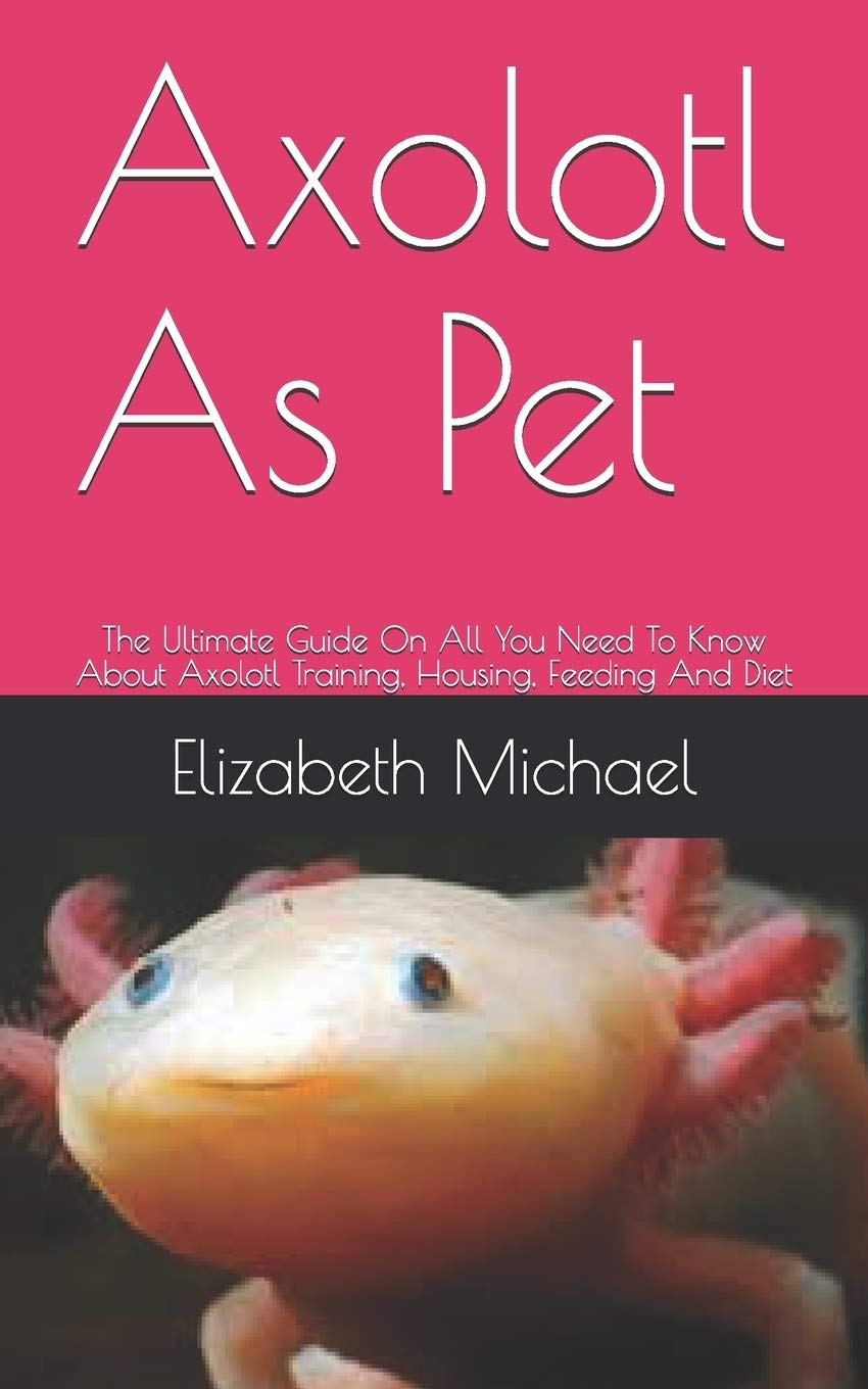 Buy Axolotl As Pet The Ultimate Guide On All You Need To Know About