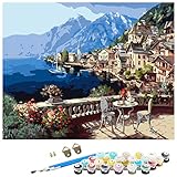 Paint by Numbers for Adults Beginner,DIY Painting by Numbers Kits for Adults Kids Paint Kits Canvas...