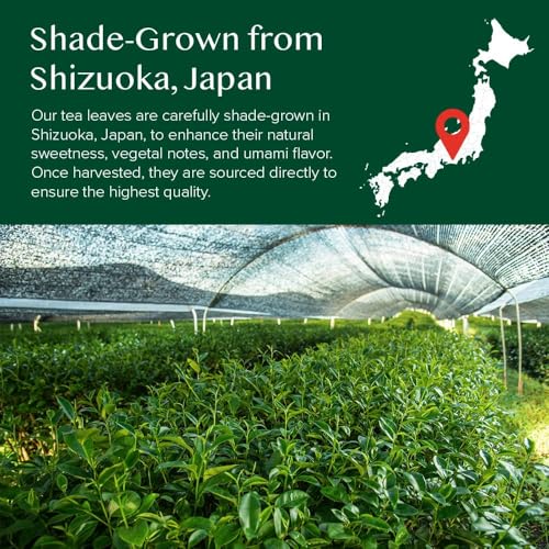 image for VAHDAM, Japanese Matcha Tea Powder (50 Cups,3.53oz) Sourced from Japan