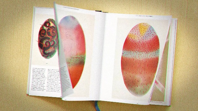 Amazon.com: TASCHEN
