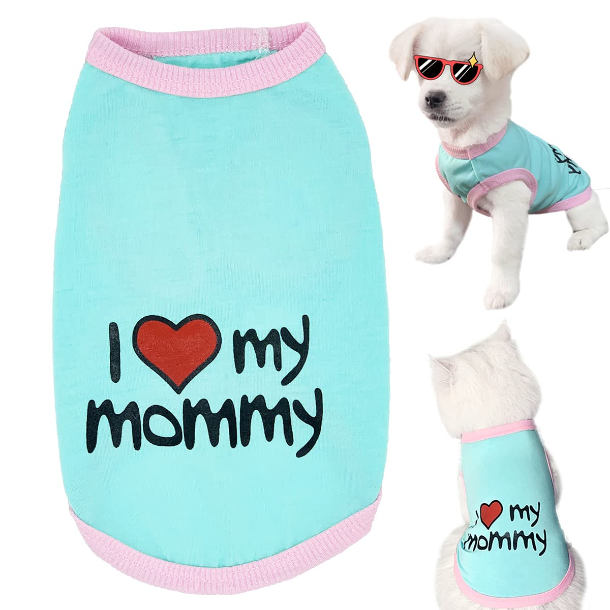 What Size Is My Dog In Clothes