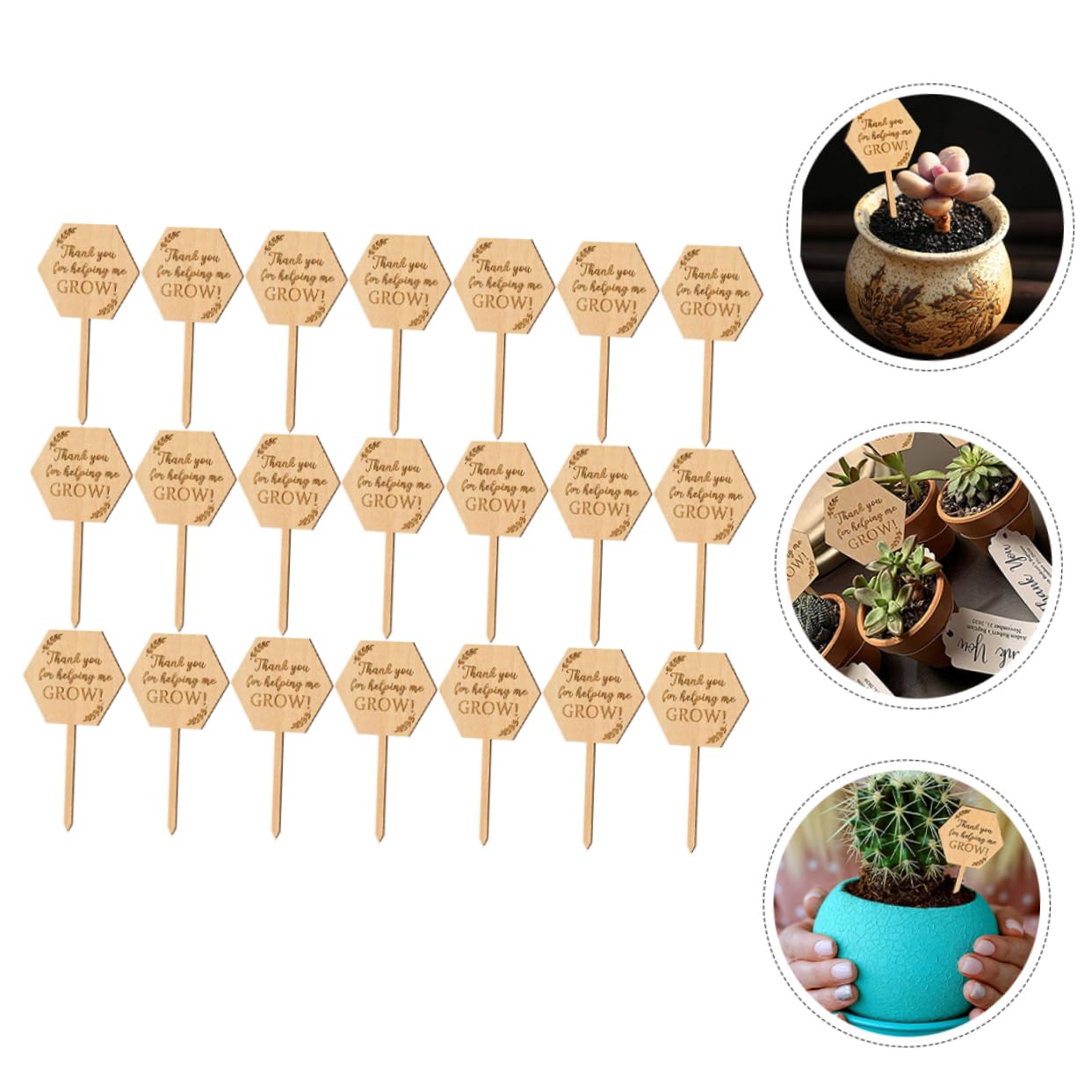 ibasenice 3 Ensembles Étiquette En Bois Étiquettes De La Plante Suspendue Marqueur De Jardin Marqueurs De Plantes De Jardin Étiquettes De Semis Petites Étiquettes De Jardinière 40 Pièces * 3