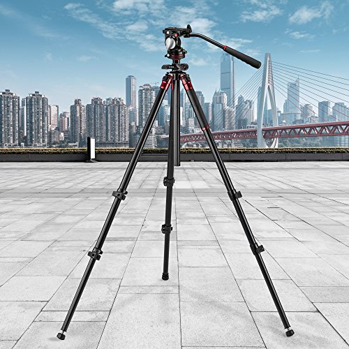 3Pod Orbit 4-Section Carbon Fiber Tripod, Bundle With Q3 Fluid Video Head #TOP4