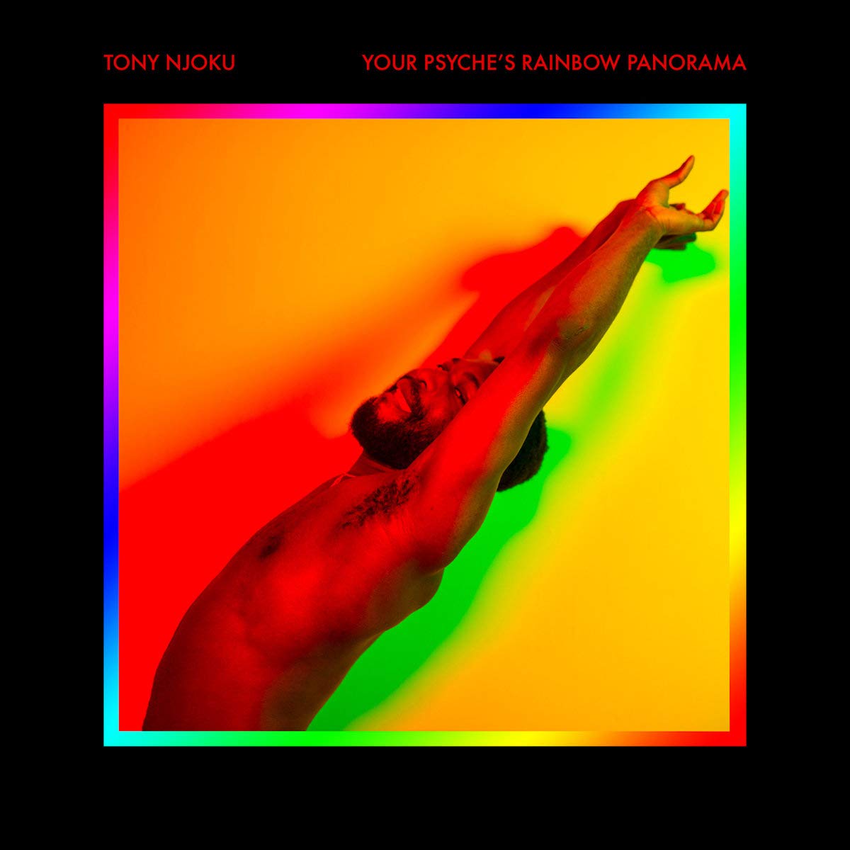 Tony Njoku Your Psyche's Rainbow Panorama LP Vinyl NEW
