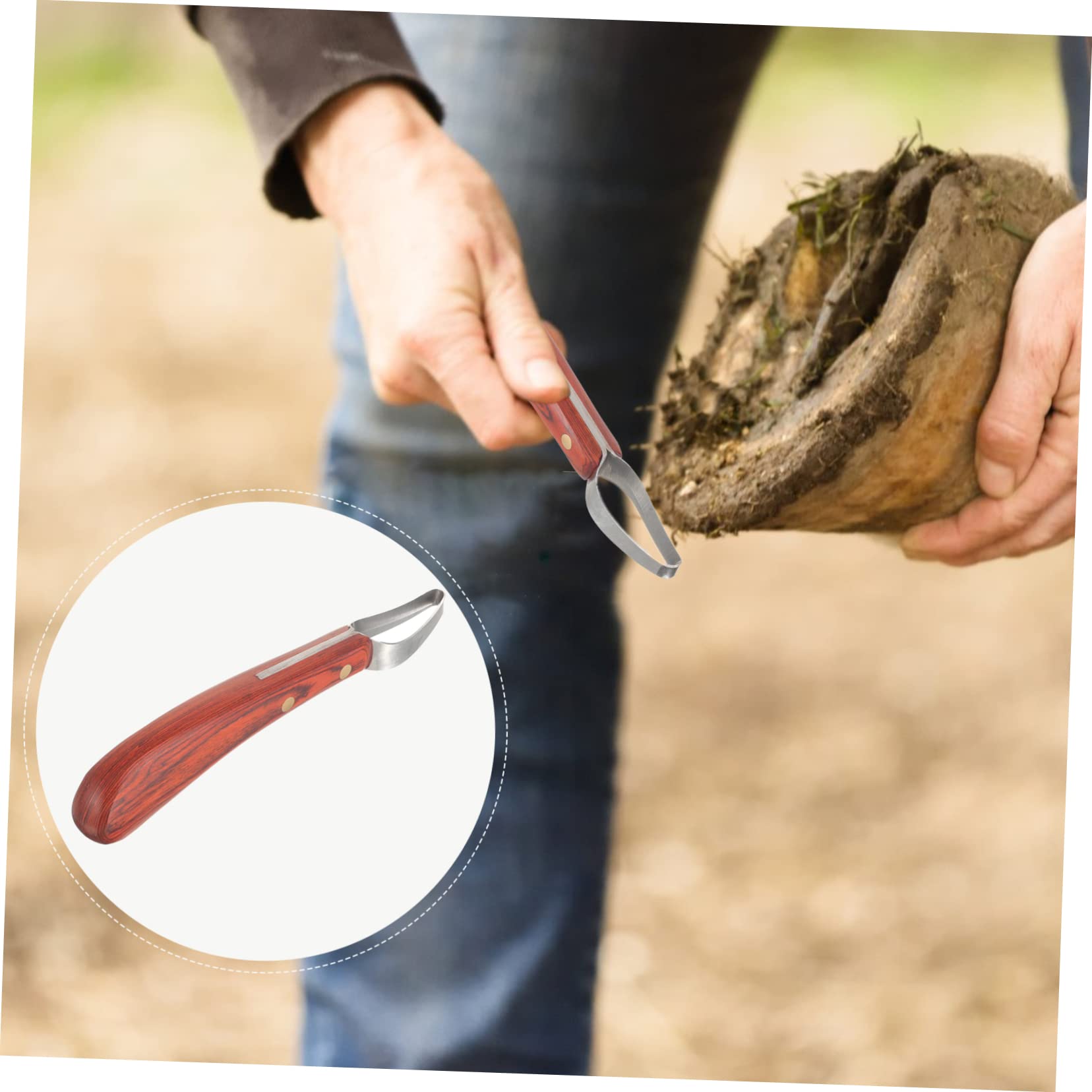 Happyyami Hand Hoof Farrier Tool Steel Farrier Equipment Hoof Trimmer for Daily Use