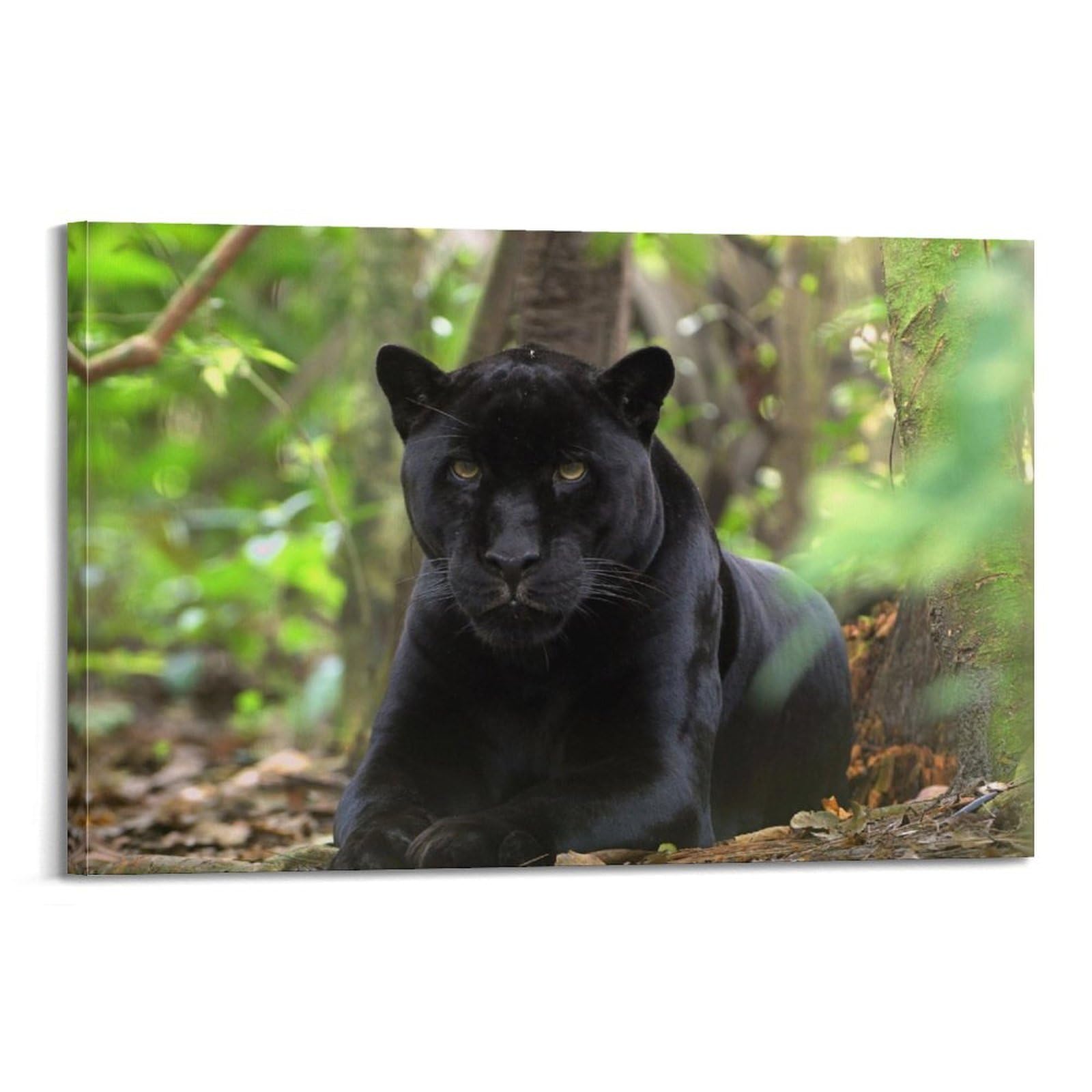 ZSZWHJ Animal Poster Black Panther Poster Decorative Painting Canvas Wall Posters And Art Picture Print Modern Family Bedroom Decor Posters 20x30inch(50x75cm)