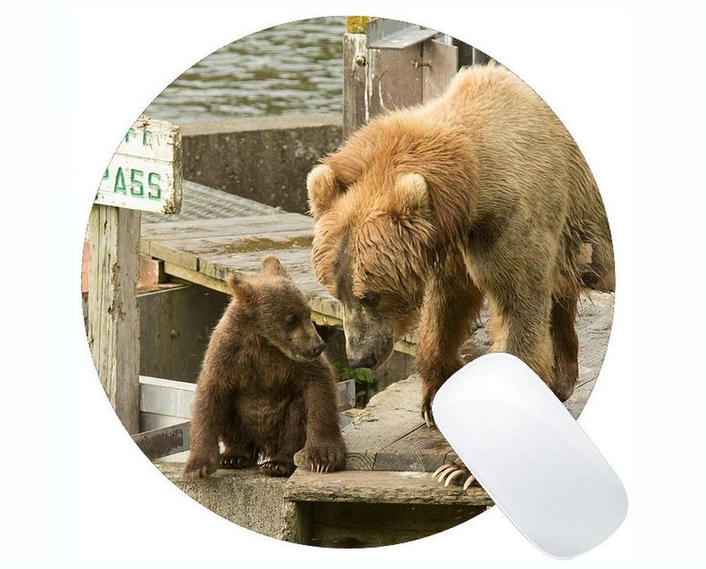 Amazon.co.jp: 豚丸型マウスパッドファーム動物、コディアックヒグマ