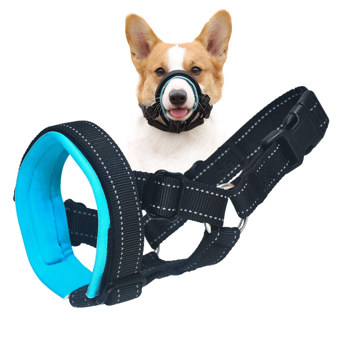 Dog Muzzle for Barking Biting and Chewing with Adjustable Loop Soft Padding (Blue, L(Snout 10.6-13.8"))