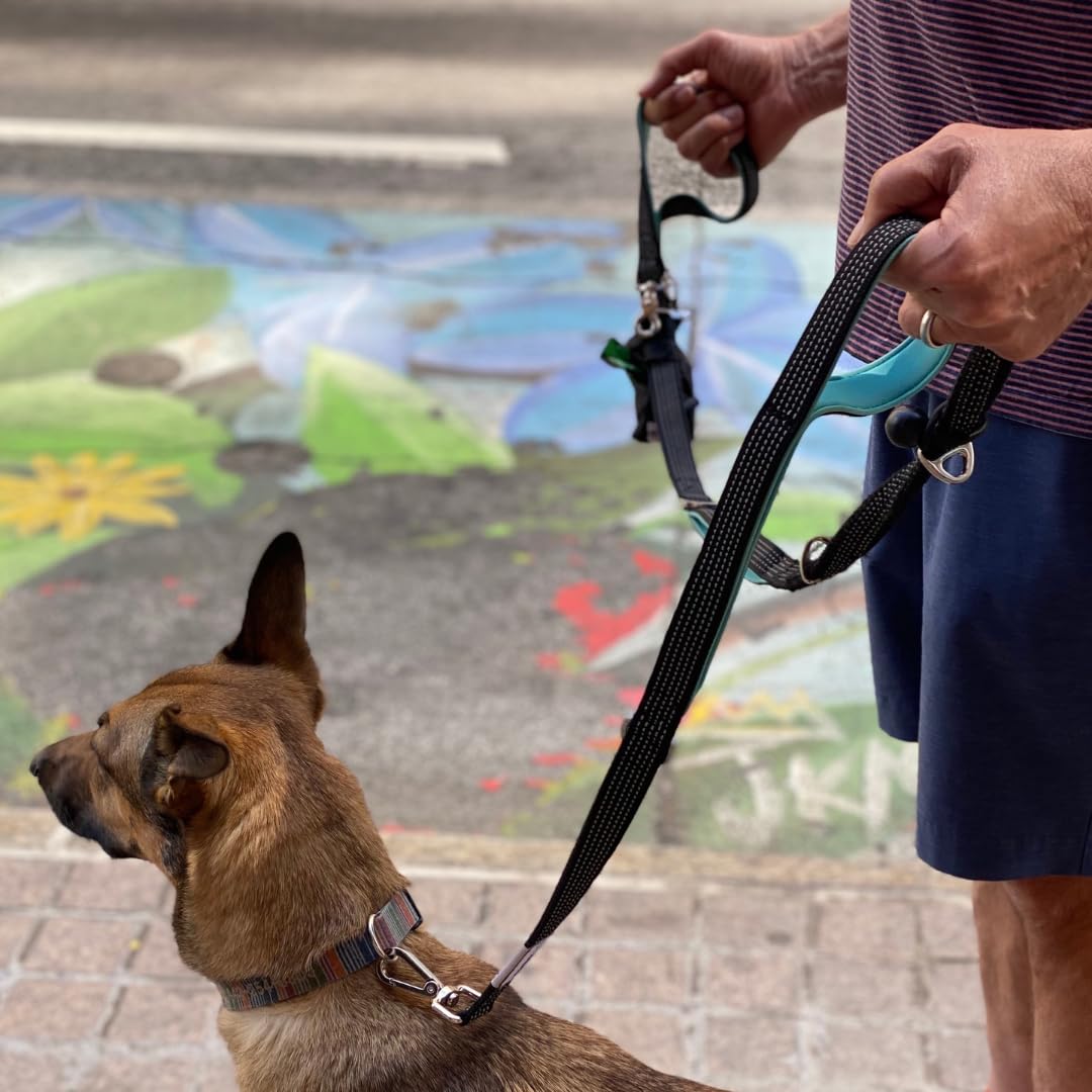 Leashrr 2.0 - Correa para perro sin tirones, resistente, 6 pies, manos libres, cintura, entrenamiento, elástica, 4 asas acolchadas, soporte para bolsa de excrementos, bolsa de golosinas, clip de