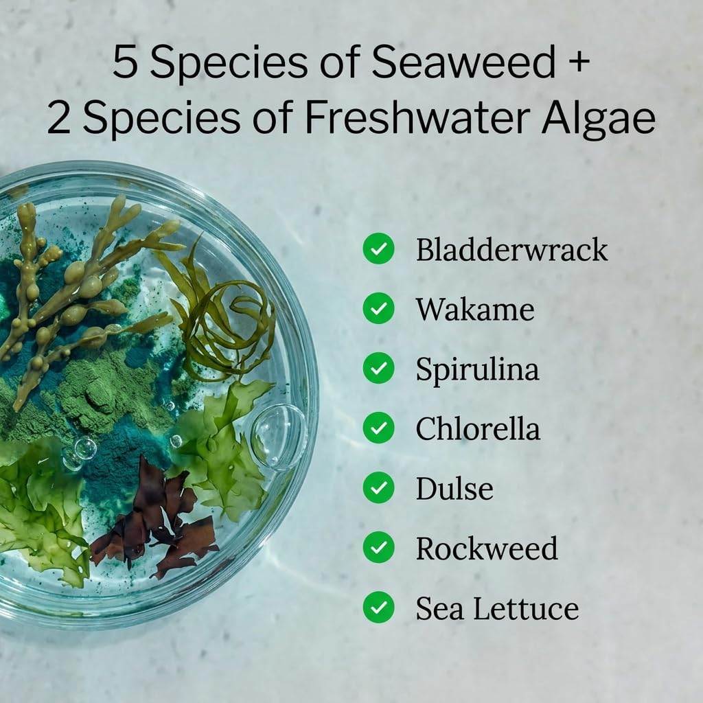 Sea of Greens – Organic Seaweed & Algae Superfood Blend – Spirulina, Chlorella, Bladderwrack, Wakame – Natural Iodine & Fucoidan – Oxalate-Free – 180 Vegetable Capsules