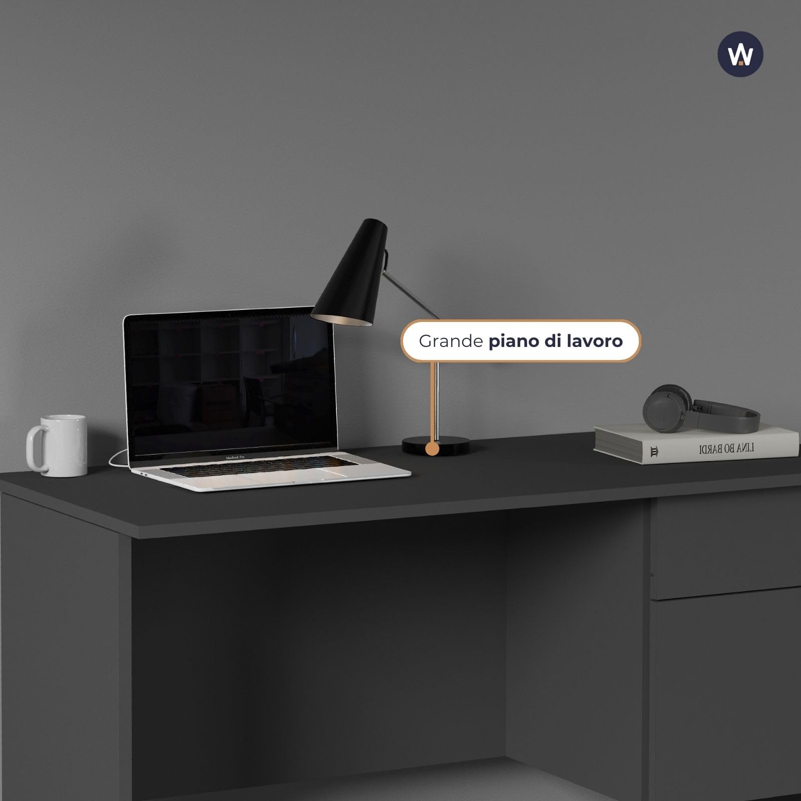 WHOUS Scrivania EASY per Ufficio, Studio o Camera con 1 Cassetto e 1 Anta, Ideale per Adulti e Bambini, 110x50x75 cm, Antracite Opaco
