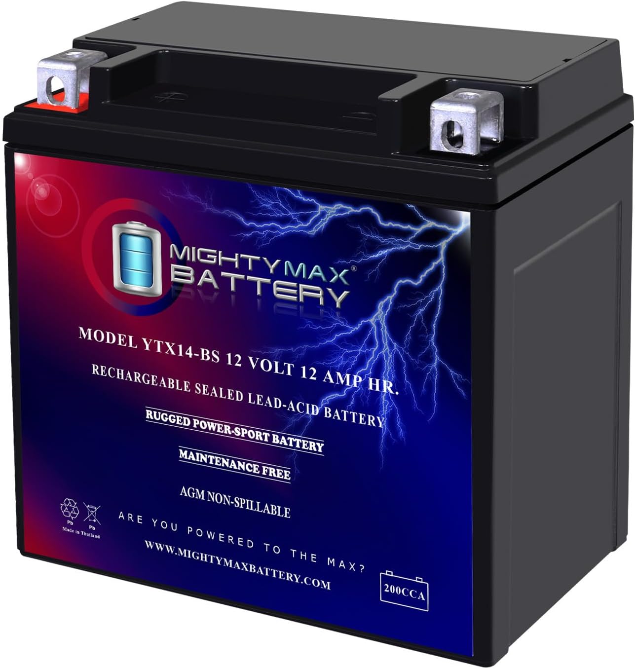 Mighty Max Battery YTX14-BS Replacement for Honda 650cc TRX650 FourTrax Rincon Std. 2005