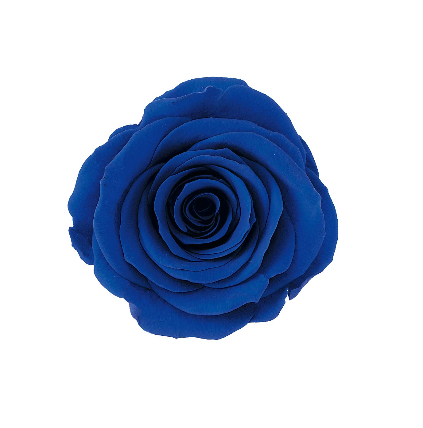 Amazon｜大地農園 プリザーブドフラワー ローズ・かのん・m