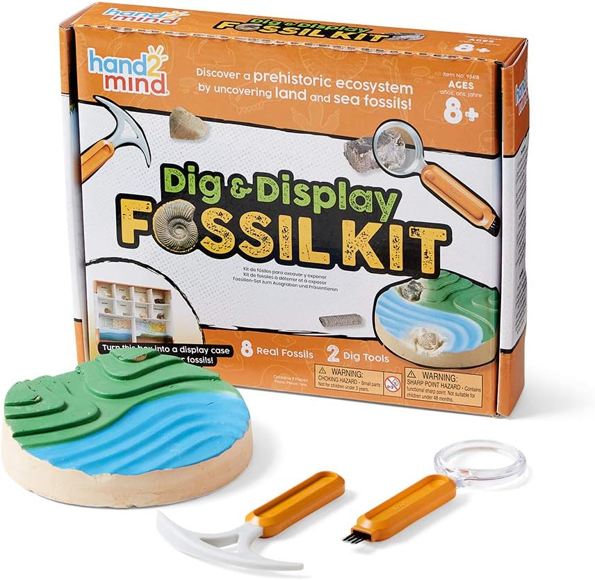 hand2mind Dig & Display Fossil Dig Kit, Fossil Display Case, 8 Real Fossils to Uncover, Dig Kits for Kids, Fossil Digging Kit for Kids, Excavation Kit for Kids, Fossil Science, Archeology Kits