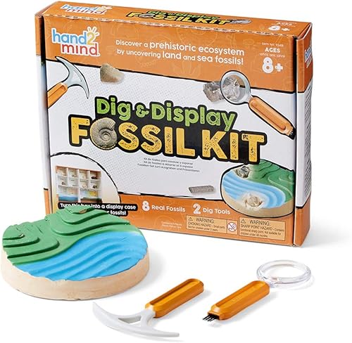 hand2mind Kit de excavación y exhibición de fósiles vitrina de fósiles 8 fósiles reales para descubrir kits de excavación para niños kit de