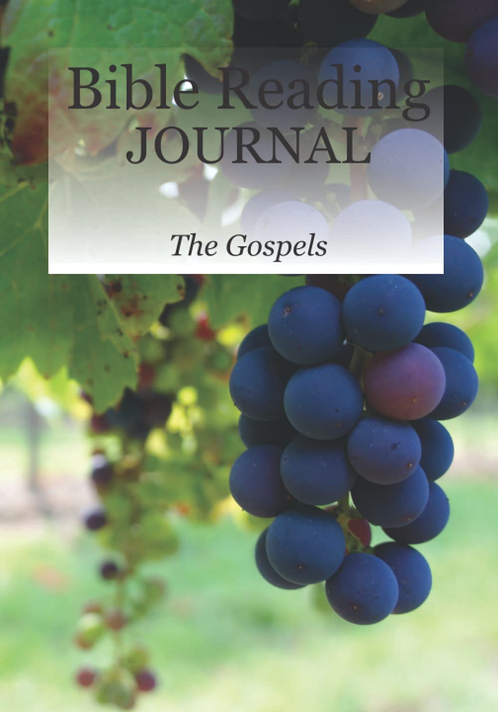 Bible Reading Journal: The Gospels