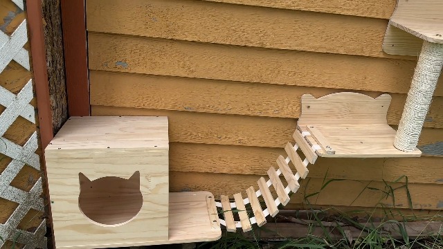 Amazon.com : Homiflex Cat Wall Shelves, 9 Piece Set Wood Cat Wall