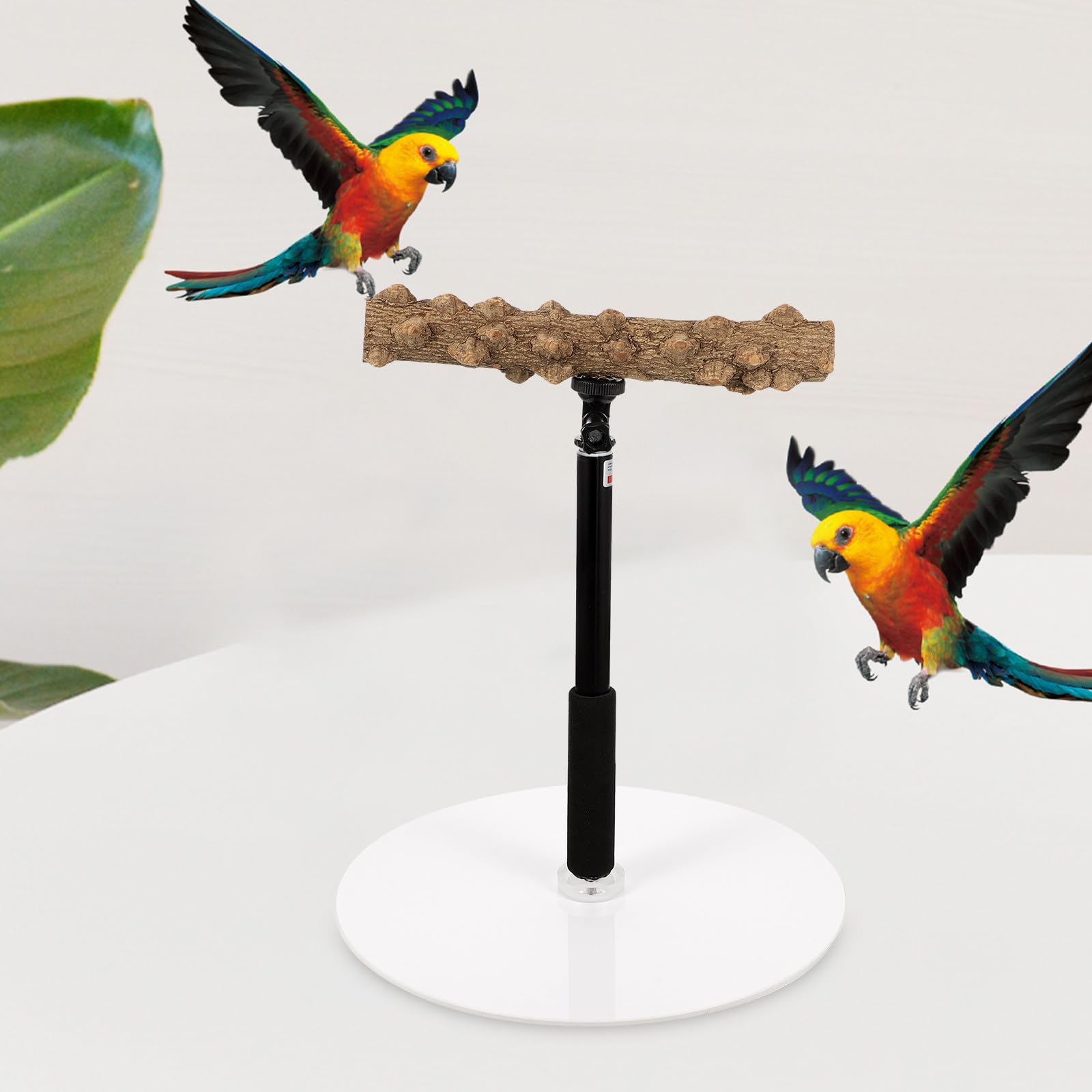 Homoyoyo Verstellbarer Papageienständer aus Metall und Holz mit Stabiler Basis für Vogeltraining und Höhenverstellbare Vogelstangen für Papageien und Vögel im Käfig
