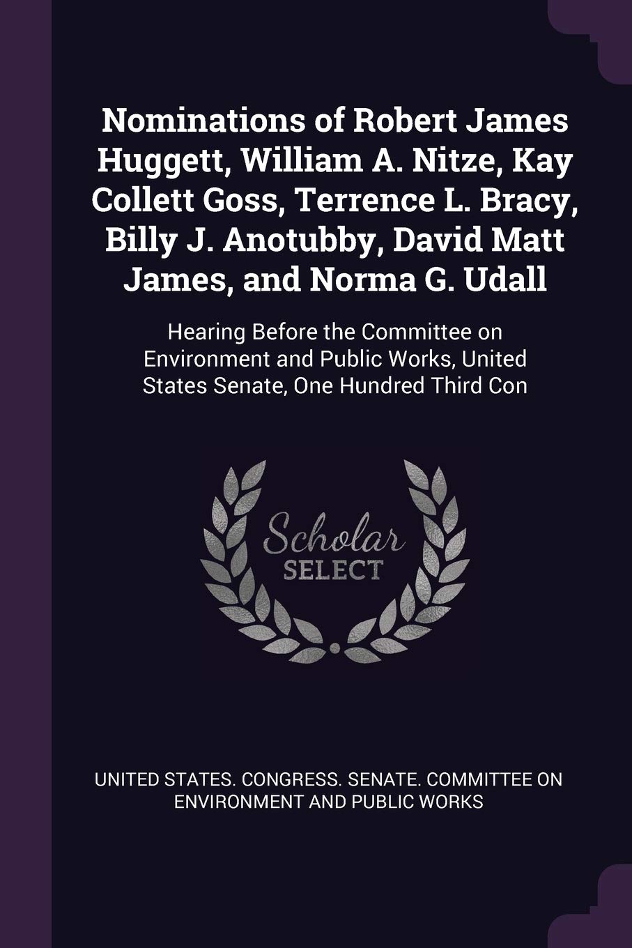 Nominations of Robert James Huggett, William A. Nitze, Kay Collett Goss, Terrence L. Bracy, Billy J. Anotubby, David Matt James, and Norma G. Udall: ... United States Senate, One Hundred Third Con