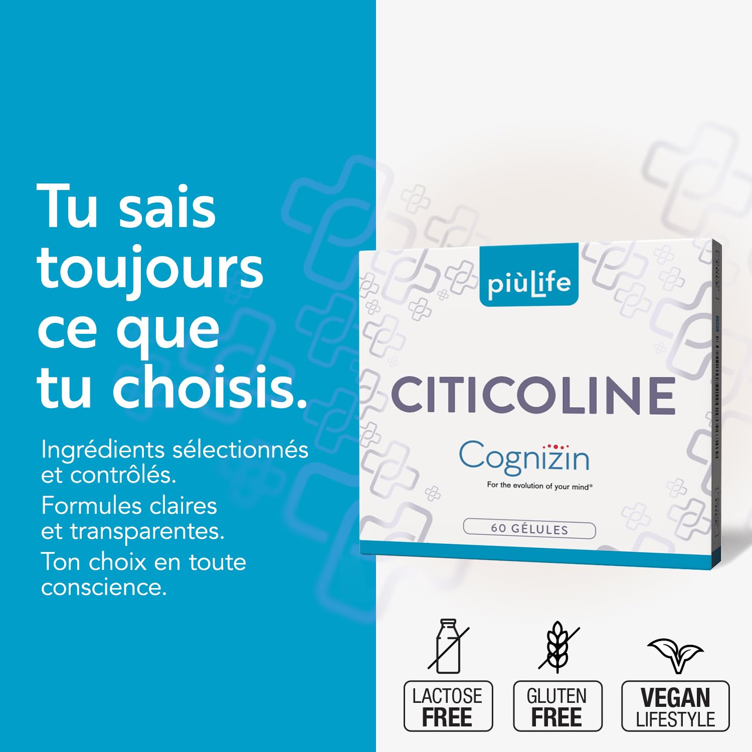 Citicoline Cognizin 500 mg PiùLife – Complément Alimentaire Memoire et Concentration – CDP Choline, Précurseur de Phosphatidylcholine et Acétylcholine – 2 Gélules par Jour, Sans Lactose, Sans Gluten