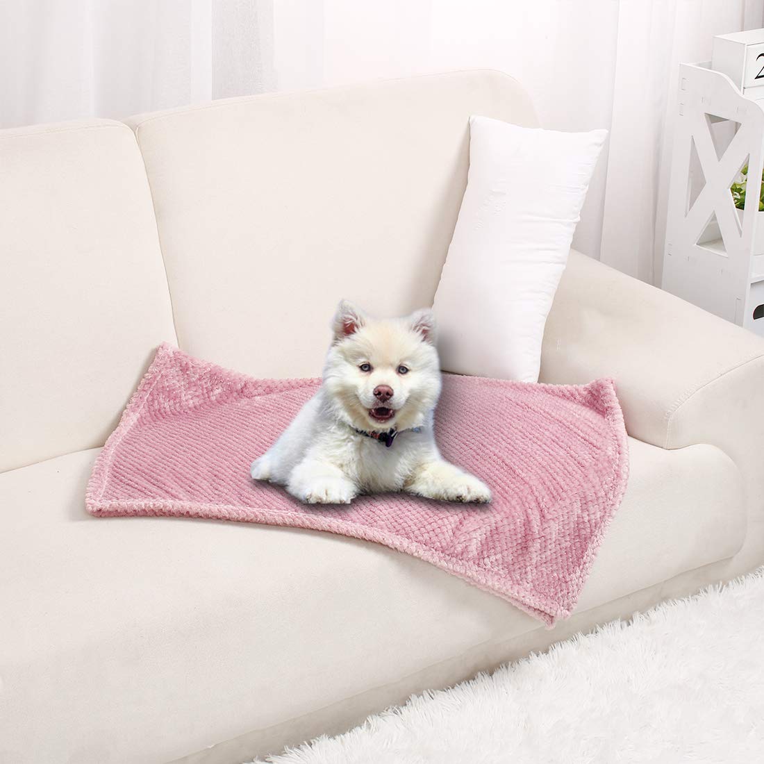بطانية ناعمة للكلاب والحيوانات الأليفة من Uxcell بطانية جرو من الصوف الفانيلا سجادة فاخرة دافئة من القطيفة الصلبة ورميات للكلاب الصغيرة والمتوسطة حصيرة النوم 30 40 بوصة باللون الوردي Amazon Ae المنزل بطانية ناعمة للكلاب والحيوانات الأليفة من Uxcell بطانية جرو من الصوف الفانيلا سجادة فاخرة دافئة من القطيفة الصلبة ورميات للكلاب الصغيرة والمتوسطة حصيرة النوم 30 40 بوصة باللون الوردي Amazon Ae المنزل