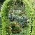 Macteyia 2 Pack 70.8" H x 19.7" W Metal Garden Trellis with Black Coating, Wire Lattice Grid Panel for Climbing Plants Outdoor Roses Vine Cucumbers Vegetables Flower Support